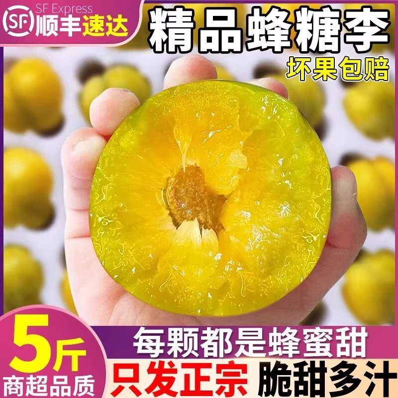 正宗贵州安顺六马蜂糖李新鲜水果脱骨青脆蜂蜜甜李子整箱礼盒顺丰