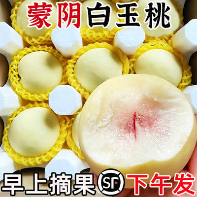 顺丰正宗蒙阴白桃奶油冬桃当季白玉蜜桃脆毛桃子孕妇新鲜水果山东