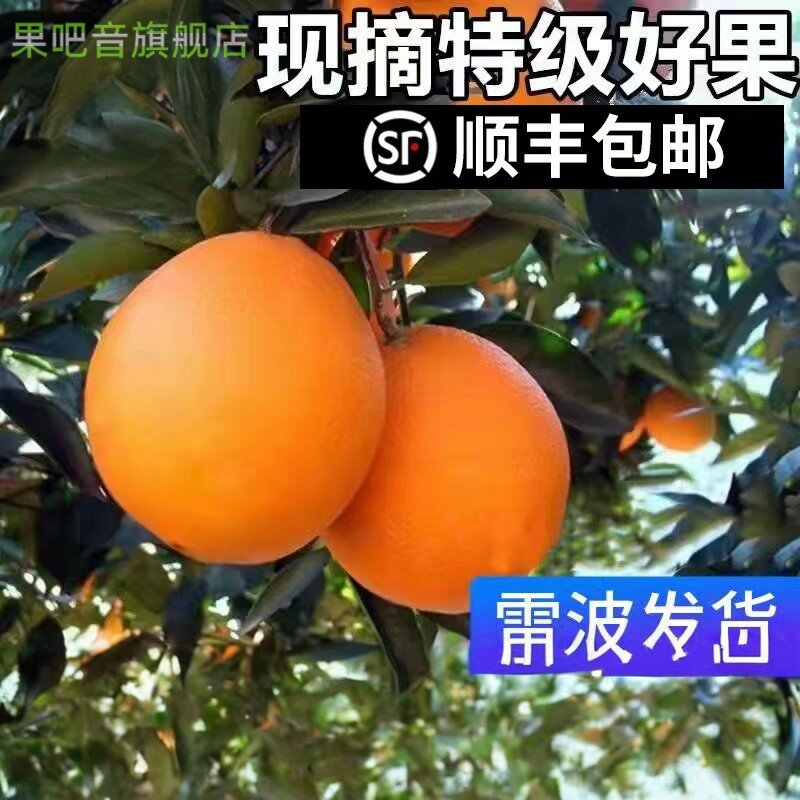 【顺丰】正品四川大凉山脐橙10斤大果整箱新鲜水果应季甜产地雷波