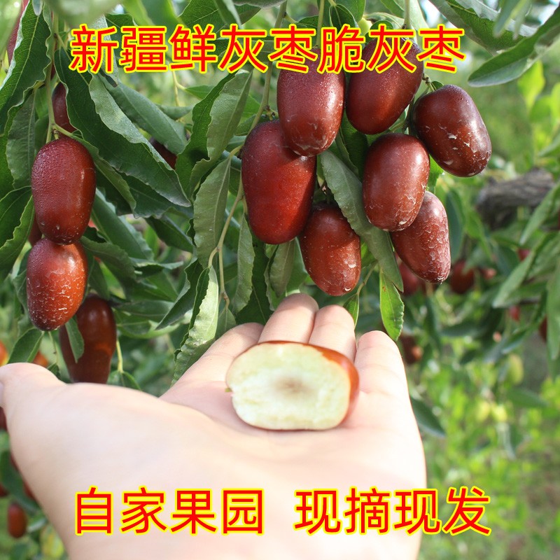 2025半干红枣新疆阿克苏鲜红枣鲜灰枣若羌脆红枣非冬枣5斤包邮