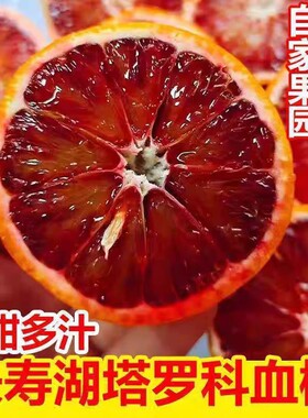 正宗重庆长寿湖塔罗科玫瑰血橙软糯香甜新鲜水果现摘现发