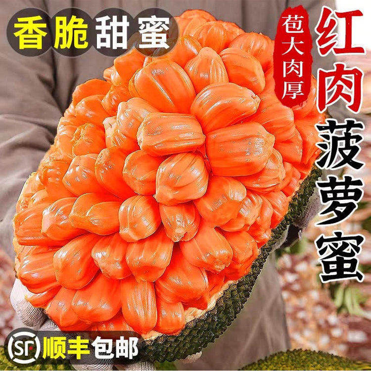现摘海南三亚黄肉菠萝蜜新鲜当季一整个甜老树木波罗直播包邮