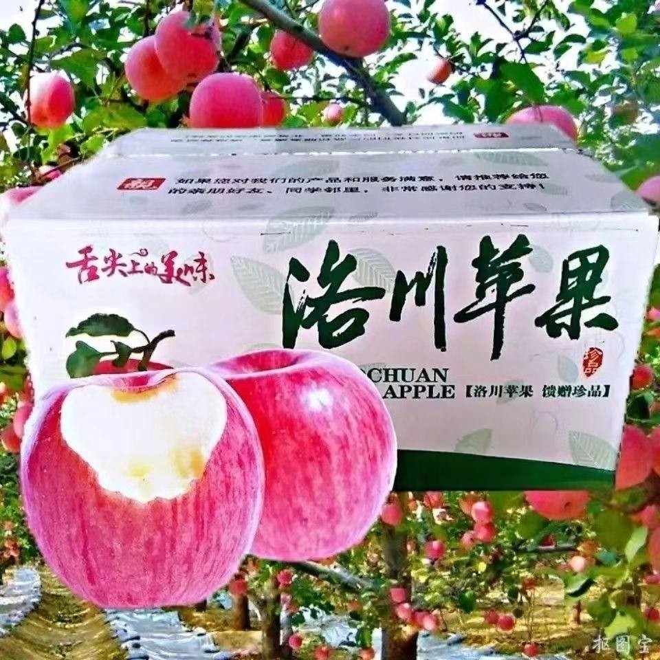 正宗陕西洛川红富士苹果当季整箱10斤新鲜水果脆甜一级大苹果,水产肉类/新鲜蔬果/熟食,苹果,淘宝优惠券,粉丝福利购,淘宝优惠卷