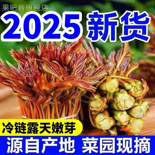 现摘新鲜头茬红油香椿芽2025年露天时令蔬菜春芽菜嫩芽春天蔬菜