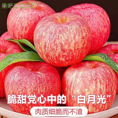 【新果上市】2026正宗陕西洛川苹果脆甜现摘批发整箱包邮