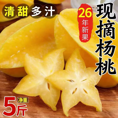 顺丰包邮 福建甜杨桃5斤新鲜水果应当季五角星阳桃现摘整箱