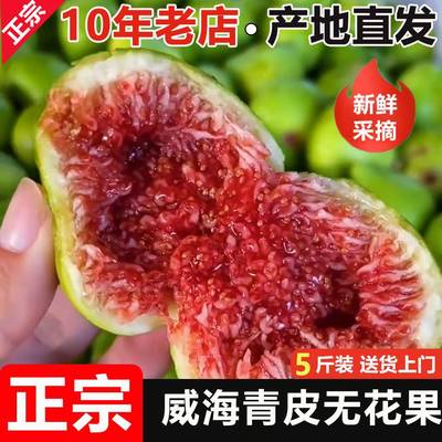 威海青皮无花果鲜果山东荣成现摘大果生鲜特大糖包子应季新鲜水果