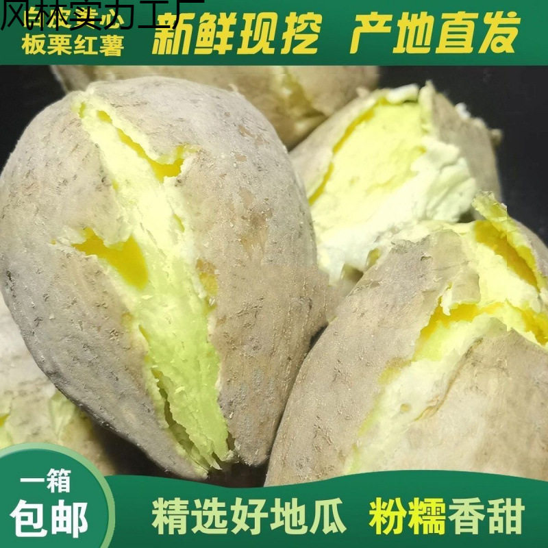广东潮汕正宗白皮黄心板栗薯粉糯香甜农家自种新鲜鸡蛋黄番薯地瓜图片