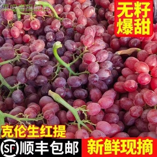 应季克伦生无籽红提整箱包邮现摘5斤脆甜鲜葡萄孕妇水果凉山礼盒