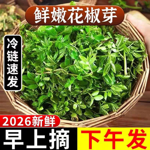 2026年新鲜头茬花椒芽野生嫩花椒叶应季实用蔬菜野菜现采现发包邮