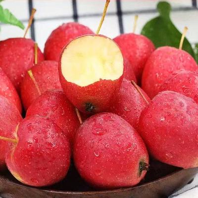 东北沙果新鲜小苹果包邮当季整箱海棠果水果鸡心果孕妇酸甜龙丰果