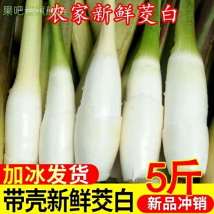 新鲜带壳茭白5斤现摘高笋茭瓜应当季农家蔬菜水笋茭儿菜交白包邮3