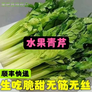 新鲜现摘水果清芹菜 脆嫩无丝生吃脆甜榨汁青芹酒店专供顺丰