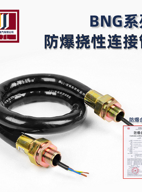 BNG防爆挠性连接线管DN15电缆穿线防暴扰性五金软管4分6分1寸DN25