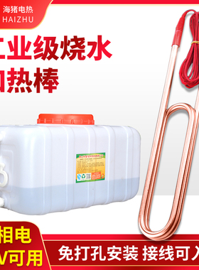 工业大功率加热棒220V浴池潜水箱桶三相电热管380V养殖塑料烧水器