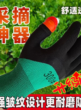 采摘神器茶叶花椒护甲拇指刀瓜果蔬菜采摘手套专用防滑耐磨金银花