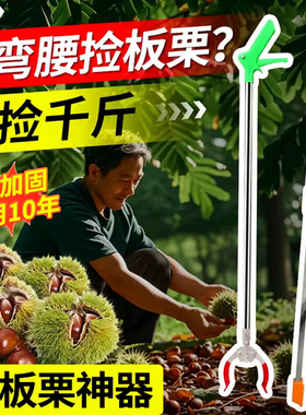 加长加厚板栗捡拾神器免弯腰夹拣山核桃坚果不锈钢专用工具收集器