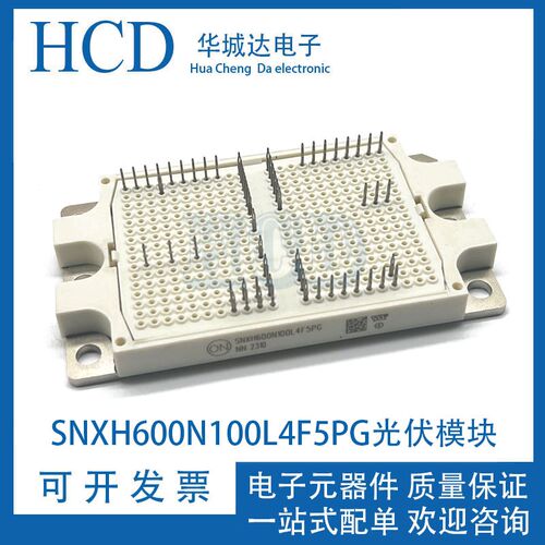 SNXH600N100L4F5PG光伏模块 SNXH100M95L3Q2F2PG光伏模块