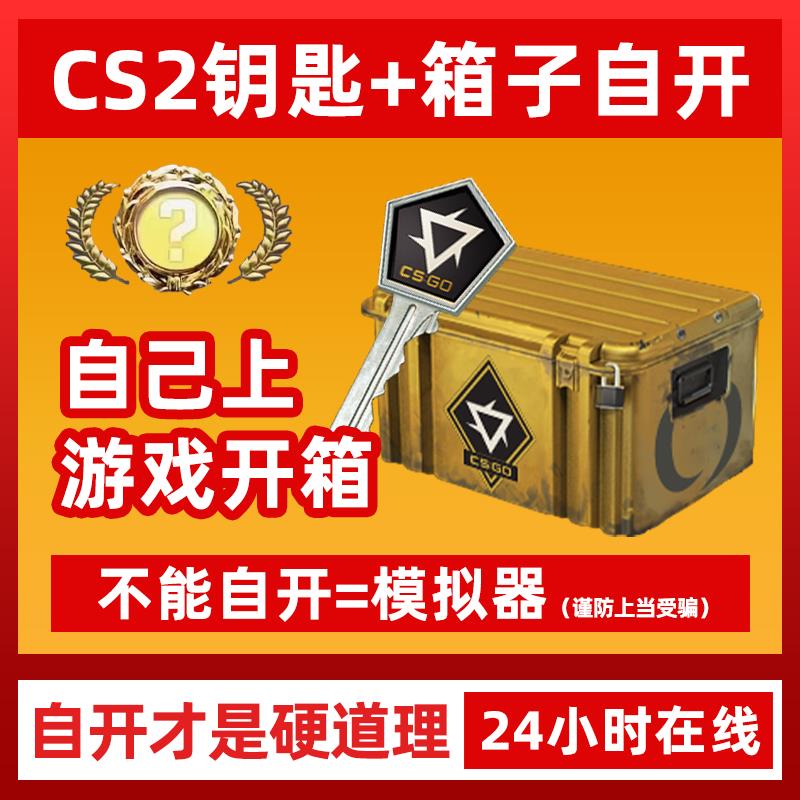 CSGO变革武器箱子加钥匙自开皮肤大行动通行证梦魇cs2开箱自己开
