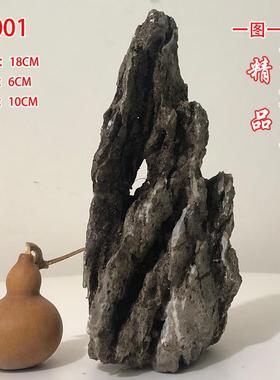 英德石附树石造景长条石盆景天然树抱石绿植花盆鱼缸装饰桌面摆件