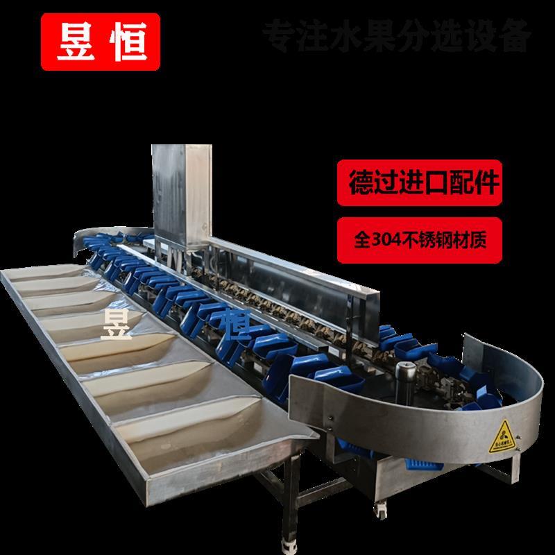 水果分选机 水果重量分级机 自动选果机流水线支持定制海鲜分级机