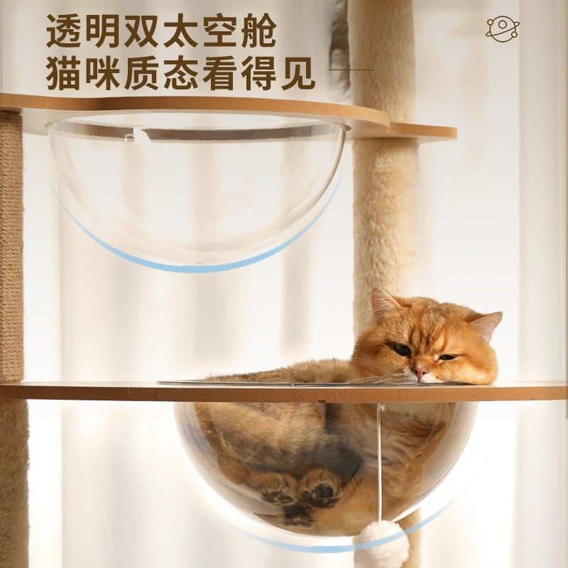 猫爬架猫树一体猫抓板猫架子家C用不占地太空舱非实木猫咪跳台,宠物/宠物食品及用品,猫爬架,淘宝优惠券,粉丝福利购,淘宝优惠卷