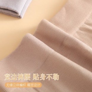 保暖裤 德绒发热毛圈美体修身 内穿衬裤 打底裤 女士弹力修身 秋裤 冬季