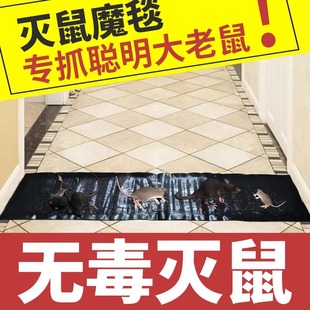 一窝端魔毯捕鼠器驱鼠器贴灭鼠老鼠家用老鼠粘粘鼠板强力鼠胶超贴
