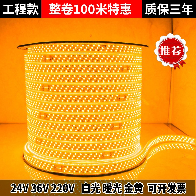 led灯带36V户外防水低压24V塔吊工地隧道养殖照明高亮灯带条220V