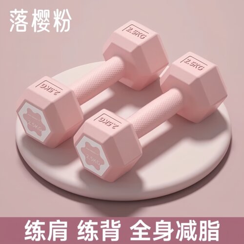 MIGOI女士小哑铃2.5kg一对家用