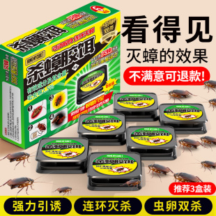 第强效端一名虫卵双杀灭除杀蟑胶饵专用 蟑螂药家用非无毒全窝正品