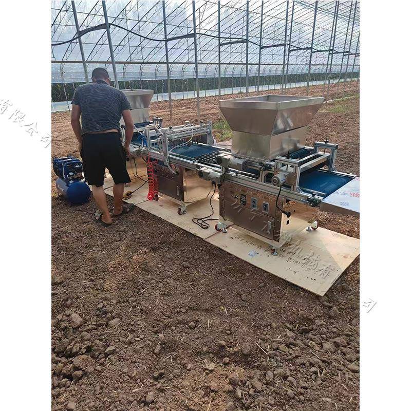 蔬菜大棚种植育苗播种机全自动流水线育苗点种机花卉种子点播机