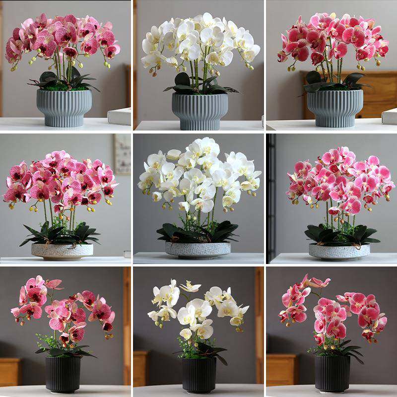 仿真花蝴蝶兰轻奢现代家居室内客厅餐厅装饰花摆设电视柜假花摆件,机械设备,其他机械设备,淘宝优惠券,粉丝福利购,淘宝优惠卷