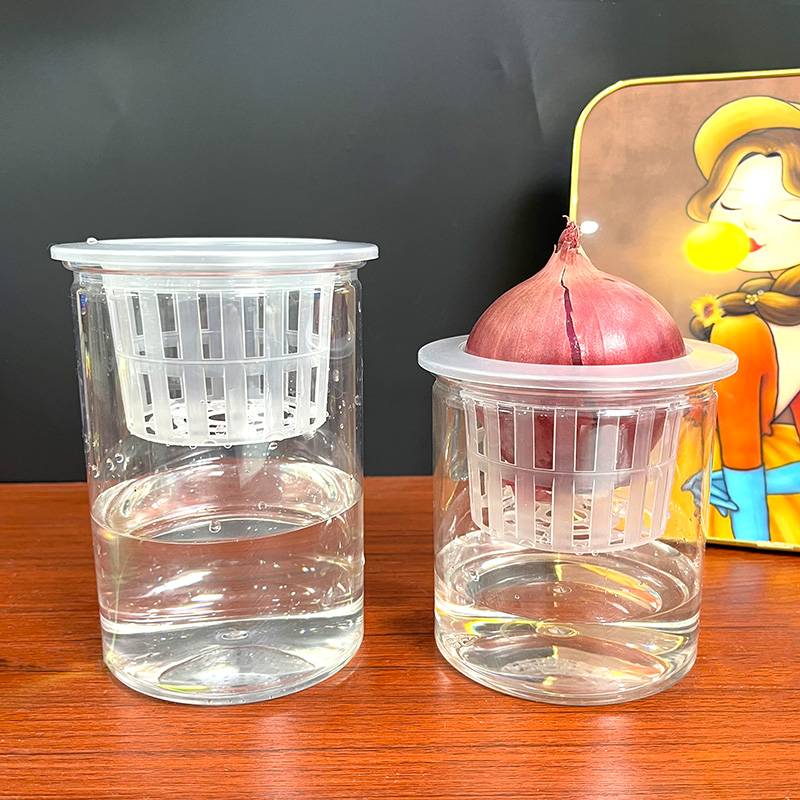 水培洋葱器皿塑料透明圆柱形花盆土豆多肉红薯定植篮种植瓶子蔬
