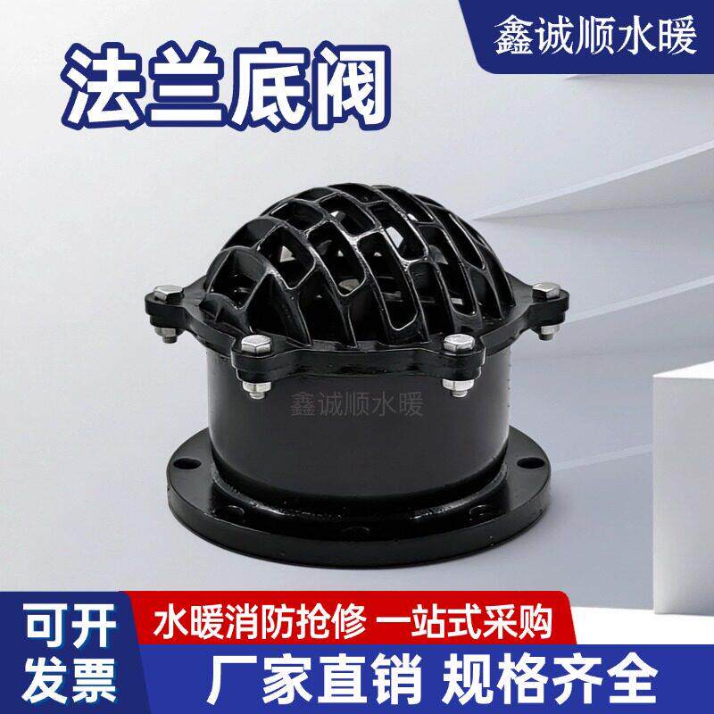 H42X-6/0铁吸法兰底阀止逆阀水泵底阀新1型底阀止FUM回阀水底铸阀