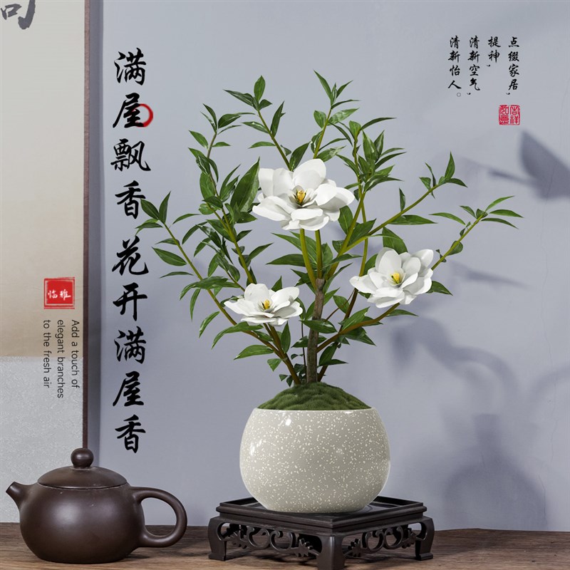 小叶栀子花新中式盆栽植物室内好养办公室桌面盆景四季开花小绿植