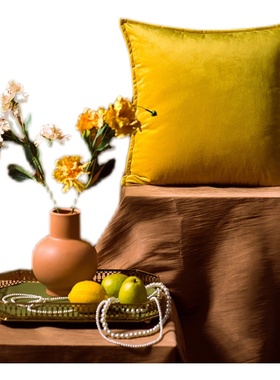 橄榄墨绿色天鹅绒轻奢抱枕沙发客厅复古靠枕床头靠背垫套不含芯