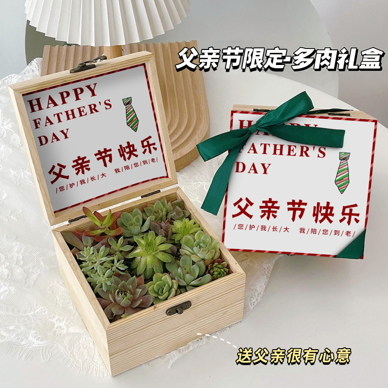 父亲节礼物生日送给爸爸多肉礼盒男生实用的创意植物盆栽教师毕业
