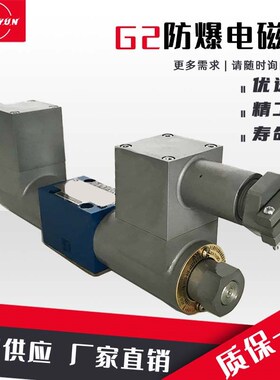 华德型液压防爆电磁换向阀G2-4WE6E/J/G/D-FB电磁阀4WE10E/J/G-FB