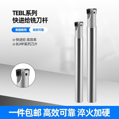 特固克TEBL06快进给双面铣刀杆高进给开粗铣刀盘BLMP0603R刀片