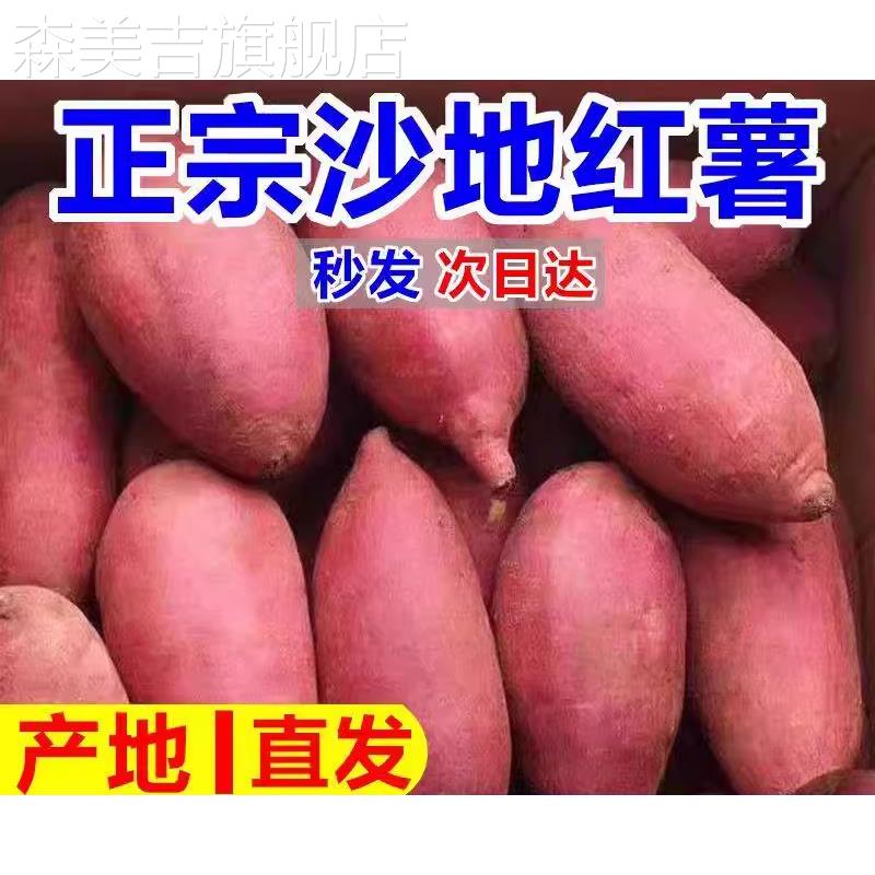 沙地新板栗红薯10斤现挖现发超甜非西瓜红蜜薯糖心板栗薯新鲜地瓜