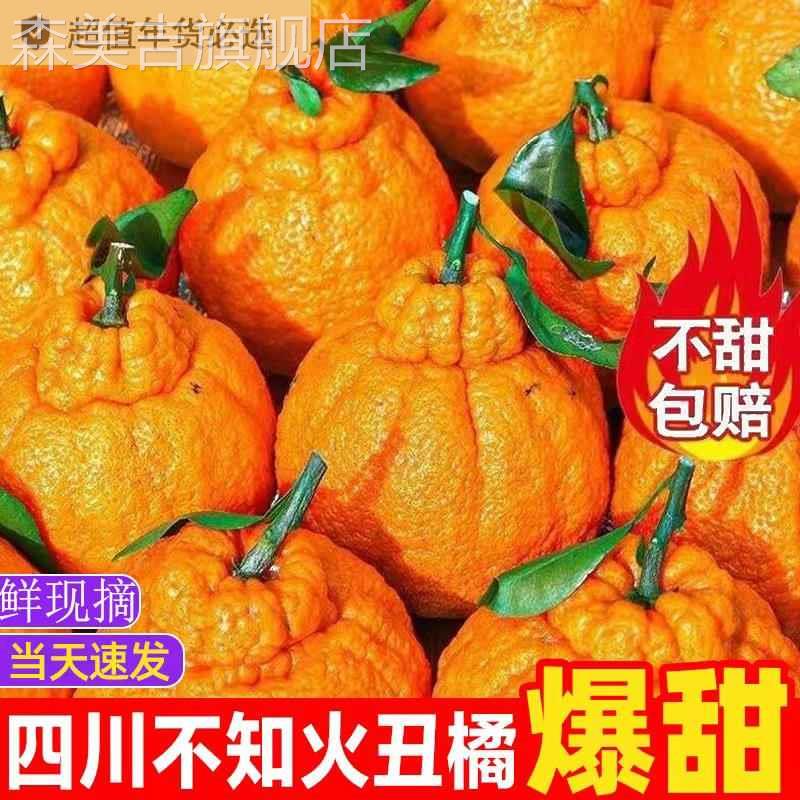 正宗四川丑橘不知火脆甜新鲜橘子柑橘桔耙耙纯甜多汁包甜包邮