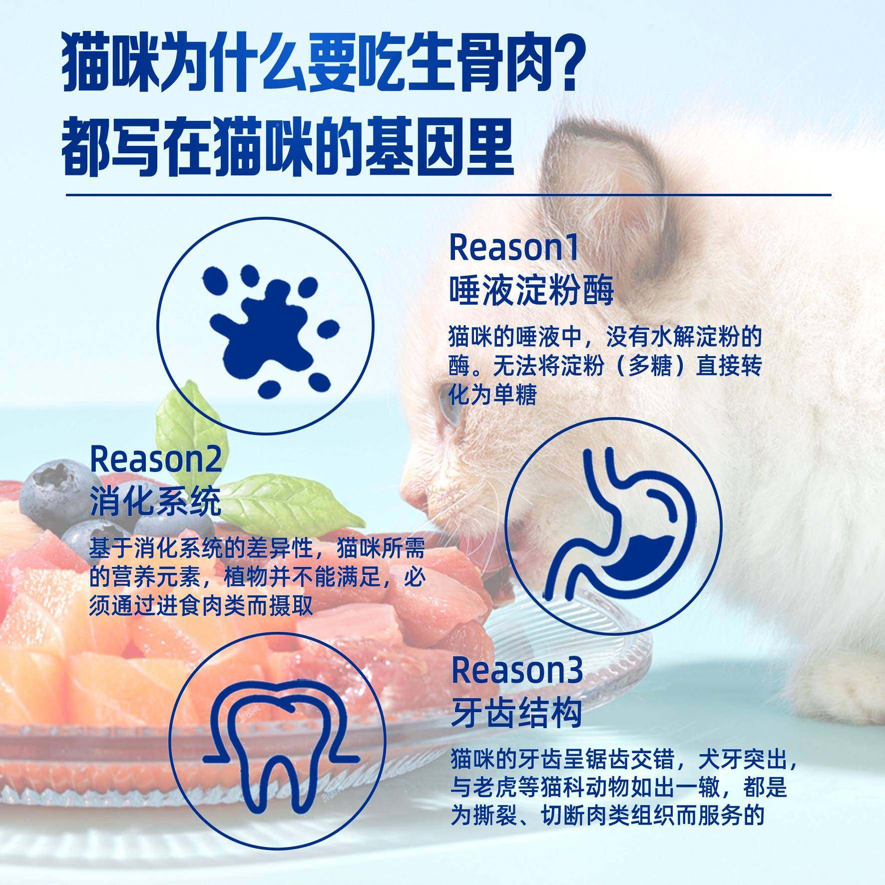 咪生骨肉肉成猫猫幼猫VNL新鲜纯生肉鲜猫饭主食冻干罐头猫粮鲜增,宠物/宠物食品及用品,猫全价冷鲜粮,淘宝优惠券,粉丝福利购,淘宝优惠卷