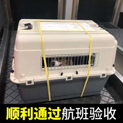 ita国航宠航空箱狗猫咪狗外出托运专用小型航空箱1a犬大型物犬飞