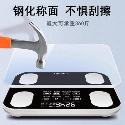 智y-8261能体脂秤家用精准型电秤子秤高精度肥专用健康称脂肪体小