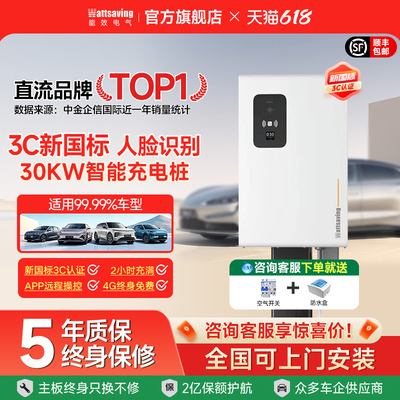 能效充电桩家用新国标3C新能源快充充电桩汽车30kw直流充电器电枪