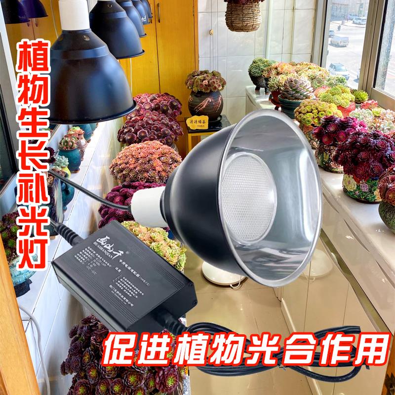 植物补光灯光合作用UVB太阳全光谱室内绿植防徒长多肉上色生长灯