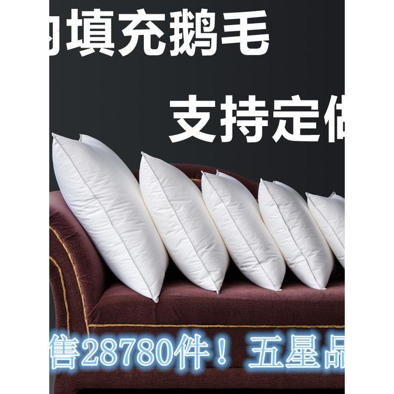 沙发羽绒靠垫芯羽绒抱枕芯40 45 50 55 60抱枕鹅毛靠枕芯坐垫定做