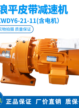 适配中联搅拌站平皮带减速机江浪平皮带减速机XWDY6-21-11