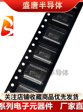 全新正品 WM8731SEDS/RV WM8731SEDS WM8731S SSOP-28 编解码器IC